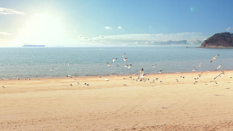 장경리 해수욕장